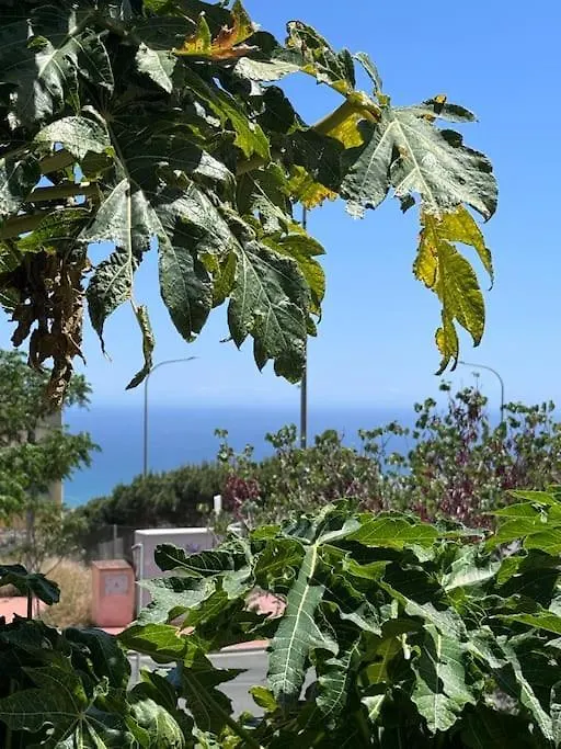 Bonita Vista Al Mar, Benalmadenaアパートメント スペイン